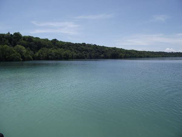 Danau Ubur-ubur Terbesar Di Dunia Ada Di Indonesia [ www.BlogApaAja.com ]