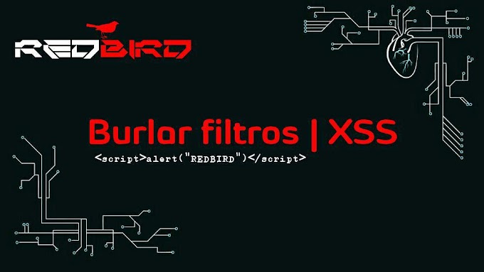 BURLAR FILTROS | XSS