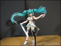 RacingMiku2012 (48)
