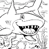 Printable Coloring Pages Sea Animals : Free Printable Sea Animals Toddler Coloring Page Belarabyapps : Top 10 sea animals coloring pages for kids this coloring page can also serve as a means to educate your child about the biodiversity of starfish.