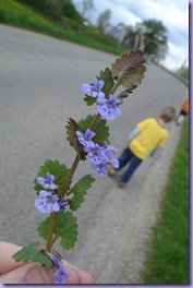 mini_DSC07561