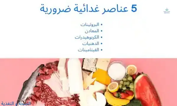 5 عناصر غذائية ضرورية للجسم و مصادرها