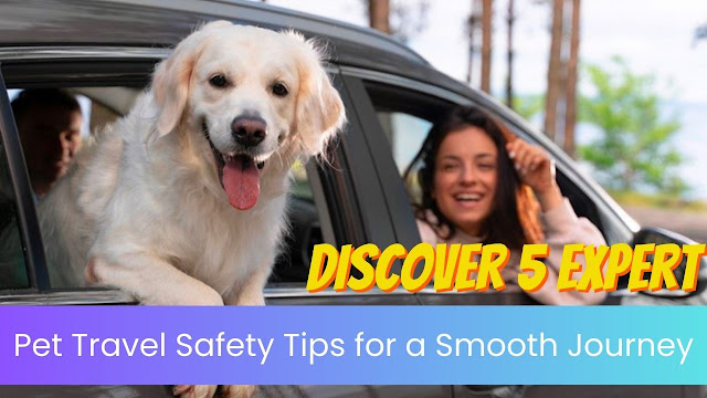 Discover 5 Expert Pet Travel Safety Tips for a Smooth Journey