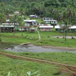 View album