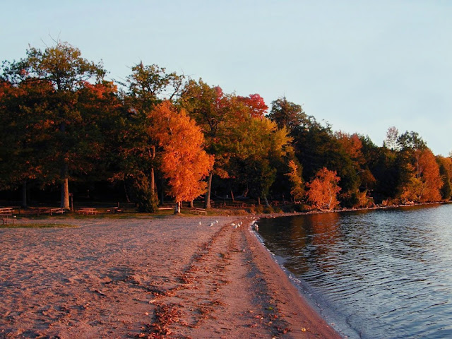 Bass Lake Provincial Park, Oro-Medonte Township near Orillia