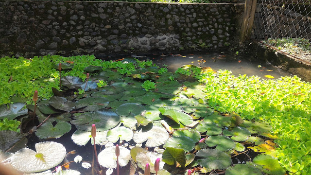 Trek to Banca Bancaan Falls