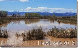 Whitewater Draw Wildlife Area and Lowell, AZ 008