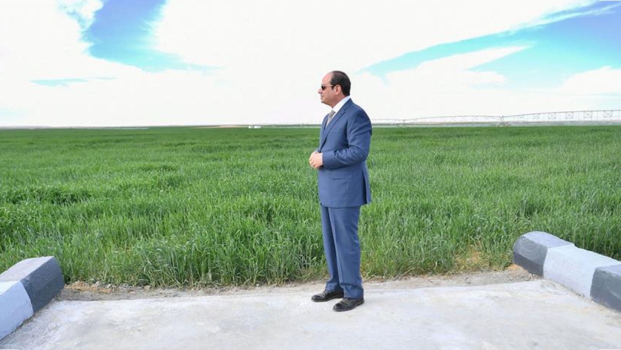 الرئيس السيسي يشهد بدء موسم حصاد القمح ويتفقد مشروع توشكى  Toshka  الأكبر من نوعه في الاستصلاح الزراعي بالشرق الأوسط