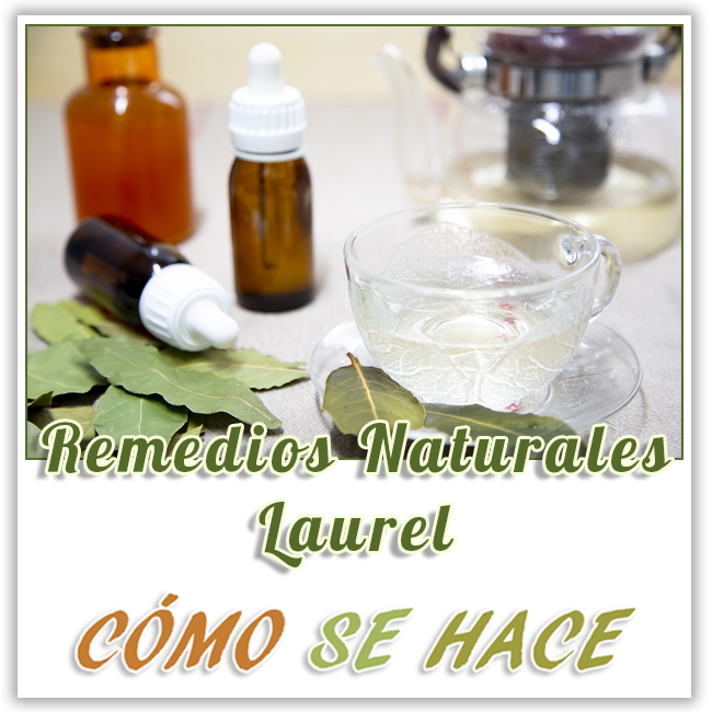 Remedios_naturales_con_laurel