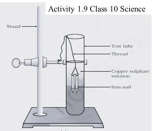 Explain Activity 1.9 Class 10 NCERT Science