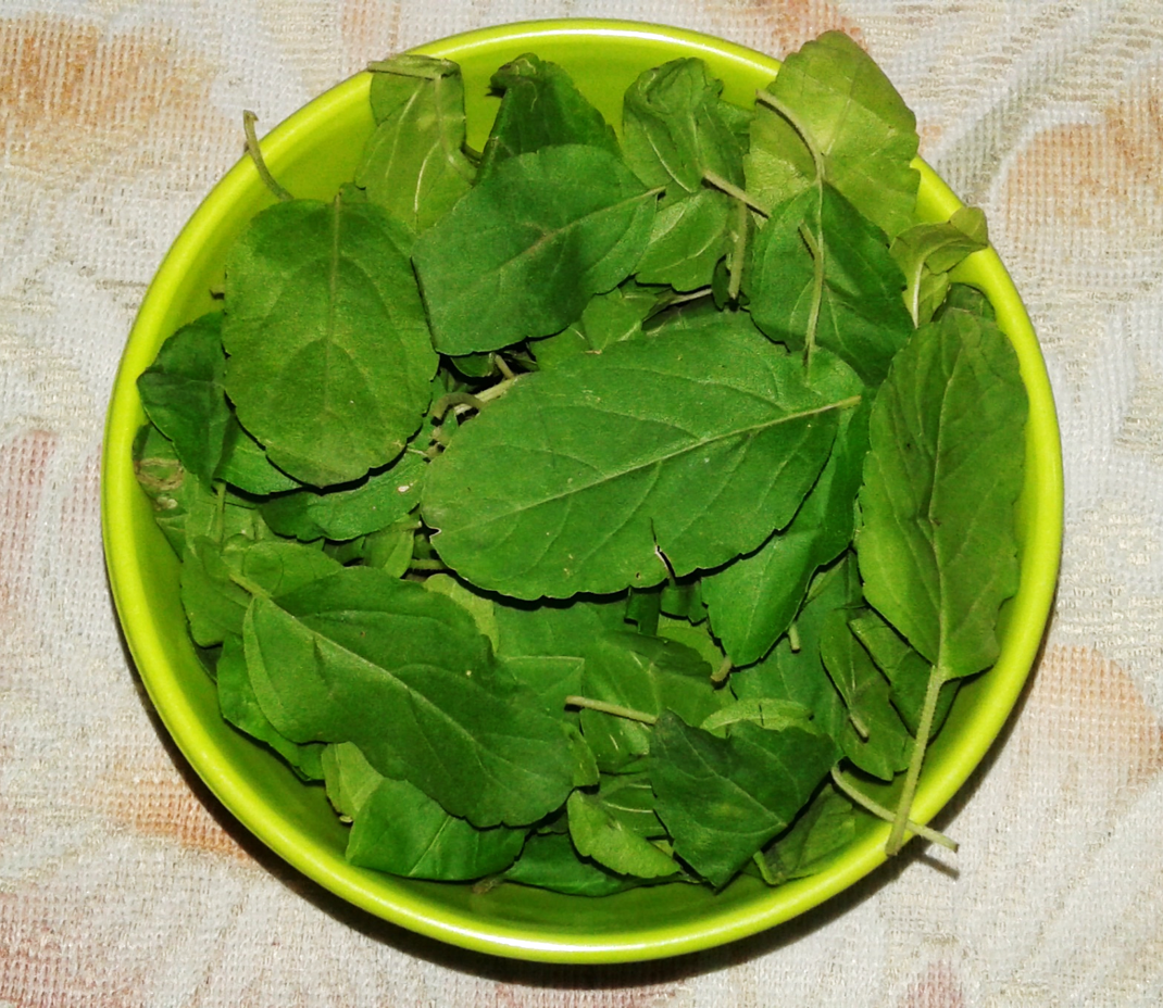 basil leaves special desi recipes