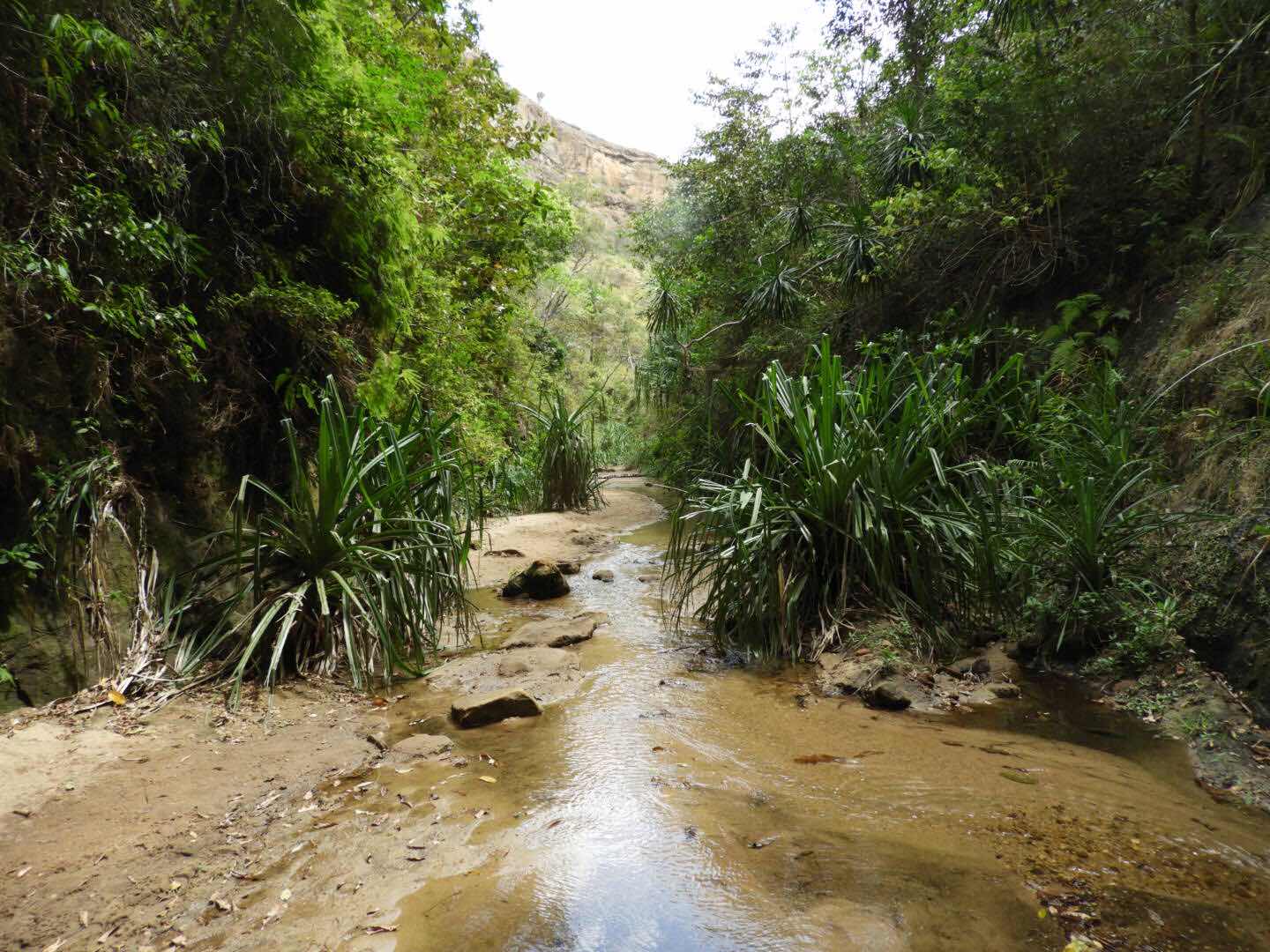 Isalo, Madagaskar