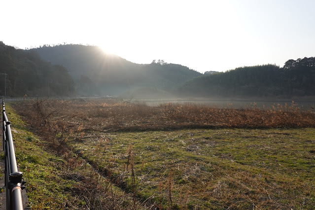 鳥取県東伯郡湯梨浜町宮内 東郷湖羽合線 東郷湖