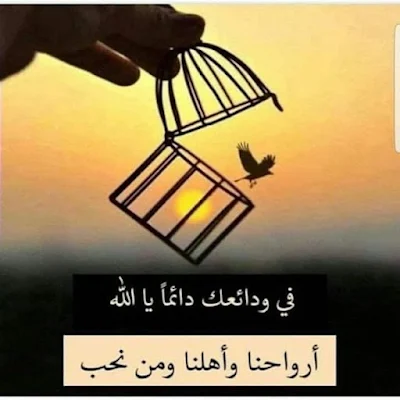 صور اسلامية