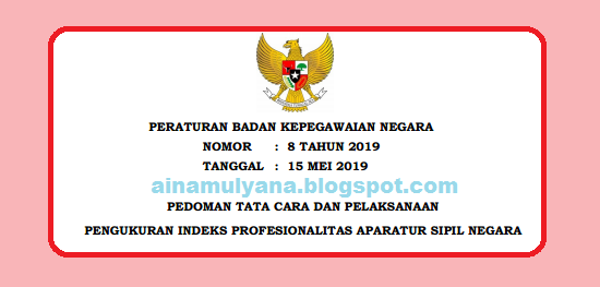  Juknis Pengukuran Indeks Profesionalitas ASN  PERATURAN BKN NOMOR  8 TAHUN 2019 TENTANG TATA CARA DAN PELAKSANAAN PENGUKURAN INDEKS PROFESIONALITAS ASN