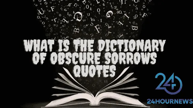 the dictionary of obscure sorrows quotes