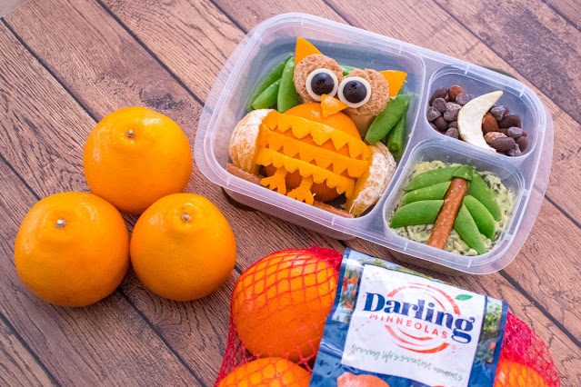 How to Make an Easy Owl School Lunch Recipe For Your Kids!