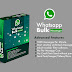 Jual Software Whatsapp Blast Anti Banned Terbaru 2020