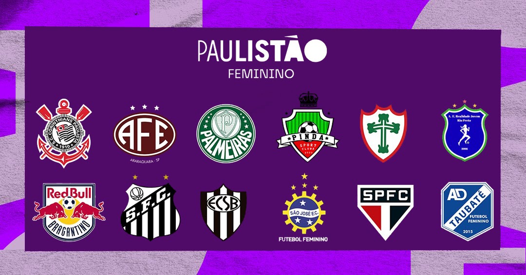 Paulistão Feminino 2023 terá 12 clubes e premiação recorde ~ O Curioso do  Futebol