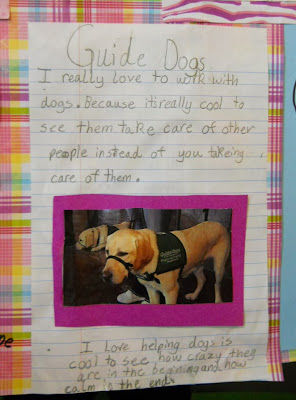 Close up of guide dogs project with an image of a puppy and surrounding text.