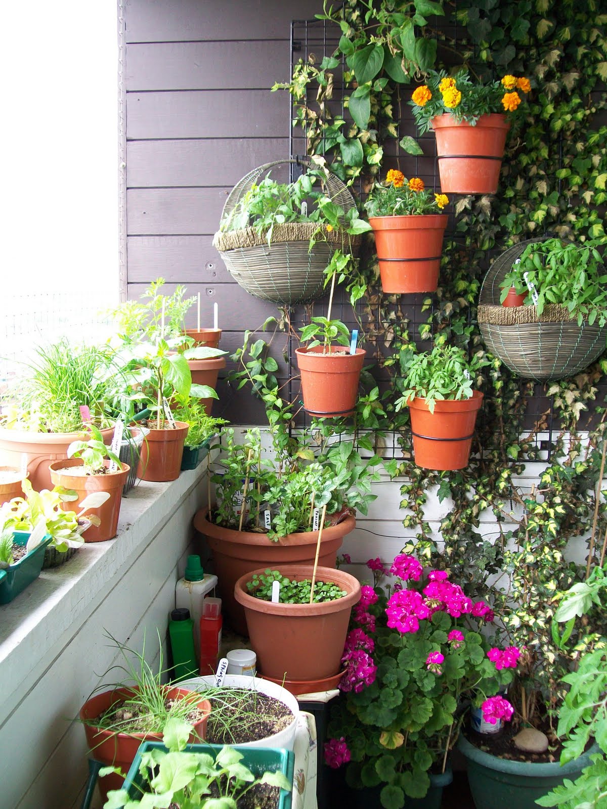 Small Garden Ideas: Beautiful Renovations for Patio or Balcony ...