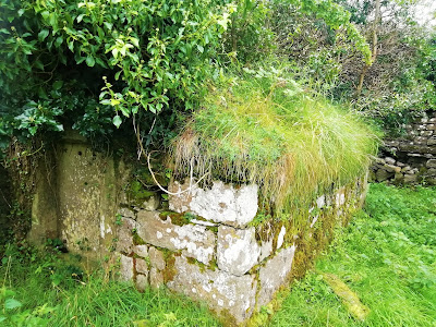 Killinagh Cursing Stone