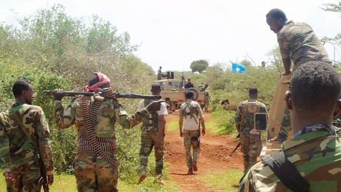 A leader of the Al-Shabaab movement was killed and another was arrested in an operation in Galgadud Governorate