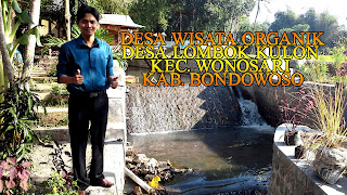 desa wisata organik lombok kulon bondowoso