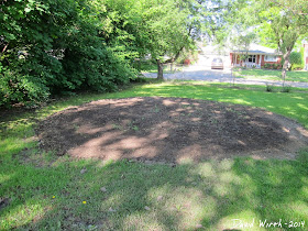 backyard pool area, flatten dirt, dirt for pool level, sand, how to