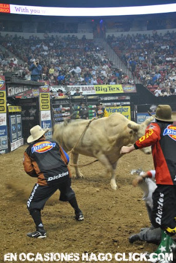 PBR World Finals Cowboys Las Vegas