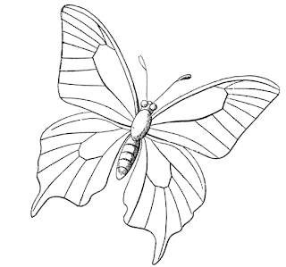 https://blogger.googleusercontent.com/img/b/R29vZ2xl/AVvXsEguPcHbz4T4VXp_pi_j_NsUkvhDa64GEZn3dlB8UForiIpMYfYuFebTLtb6Mjm4RYqvnGmSjOHN2ofIkpYMY55tlg6WOZ4ndrCVZgnvvdGLDSc4dzCHT5DWkd4YYvnP9713cRPYU7tYxzWI/s320/1+butterfly.png