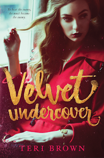 Velvet Undercover by Teri Brown Book Cover