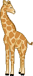 Gif de girafa