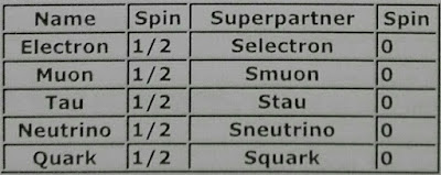 Fermions and their superpartners