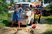 funny pictures spiderman