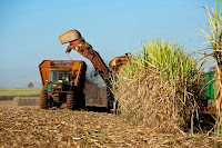 Brazil has hampered production of ethanol from sugar cane by pegging its price to petrol. (Image Credit: Jonathan Wilkins via Wikimedia Commons) Click to Enlarge.