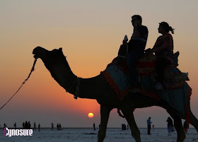 What To Do During Rann Utsav, Detailed Itinerary