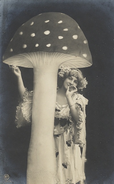 vintage fun mushrooms