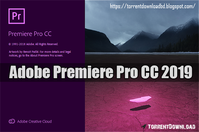 adobepremiereprocc2019v13x64