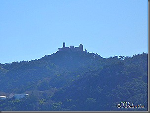 P1130574