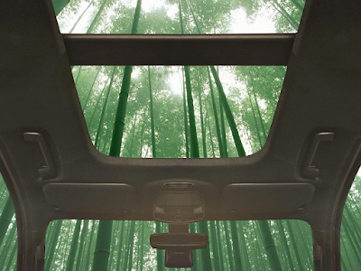 Sustainable Bamboo Materials for Ford's Vehicle Interiors