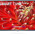 LG 108 cm (43 inches) Full HD Smart LED TV