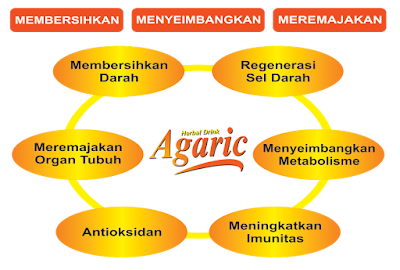 Agaric Herbal Drink Nasa