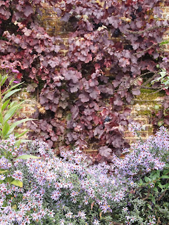 vine on old wall looks great, Garden design London and Sussex