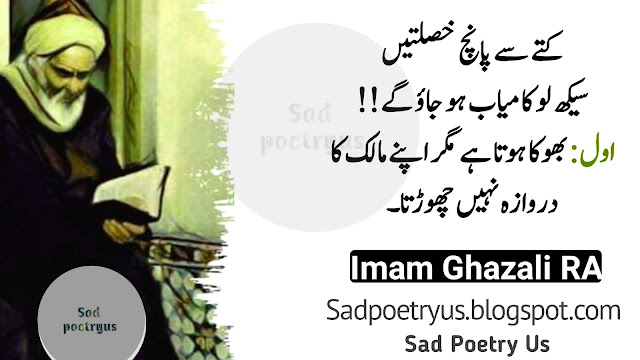 Imam Ghazali Urdu Quotes Lines || Learn Five Habits From A Dog || Educational Philosophy