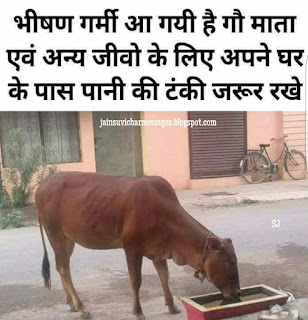 JivDaya image, Cow, Save Cow, Cow image, GauMata, Vegetarian, Jain Suvichar image, Anmol Vachan, Jain images, Jiyo Aur Jeene Do, Ahimsa Paramo Dharma, Live And Let Live 