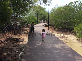 Bercuti di Pulau Burung