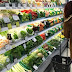 Αρχές Μαρτίου υπόσχονται για μειώσεις τιμών στα σούπερ μάρκετ