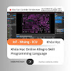 Khóa Học Online Allegro Skill Programming Language | Mã: KHV08