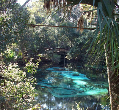 gary and delys rv travels: juniper springs state park and